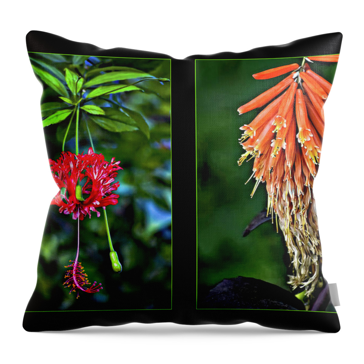 Flower Throw Pillow featuring the photograph Midsummer Dream Diptych by Steve Harrington