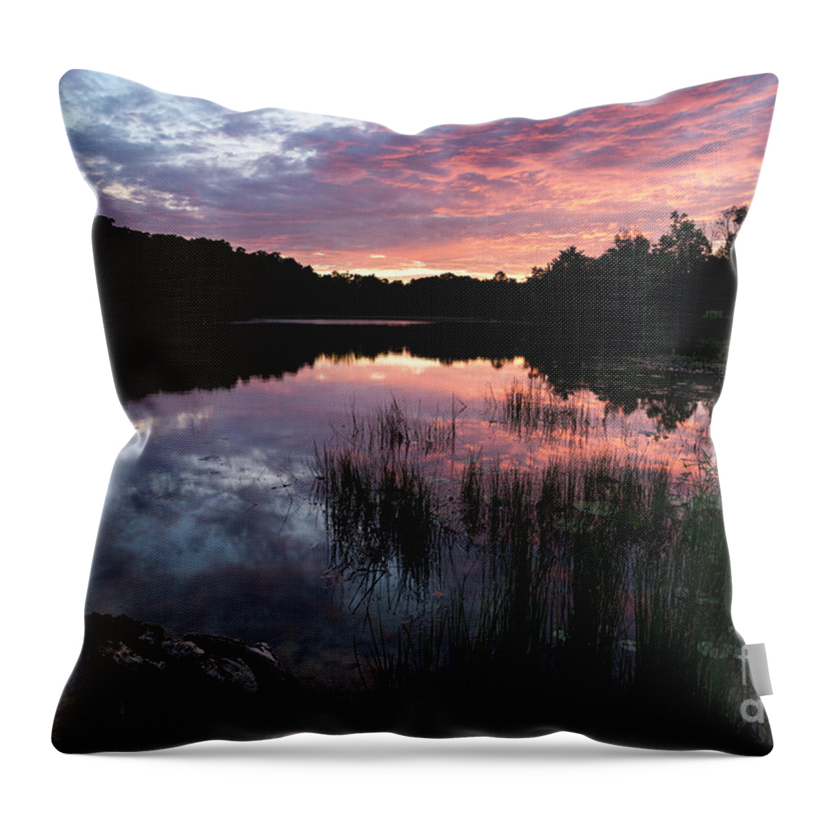 Sunset Throw Pillow featuring the photograph Midwestern Sunset - D010407 by Daniel Dempster