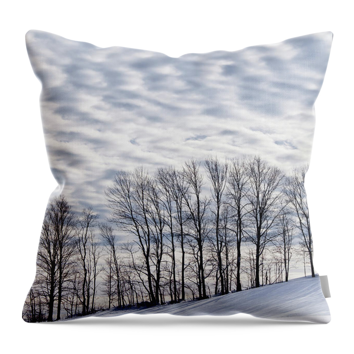 Winter Throw Pillow featuring the photograph Midwinter Landscape by Alan L Graham