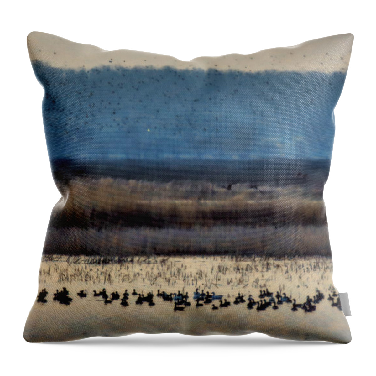 Swan Throw Pillow featuring the photograph When Ducks Fly by Elizabeth Winter