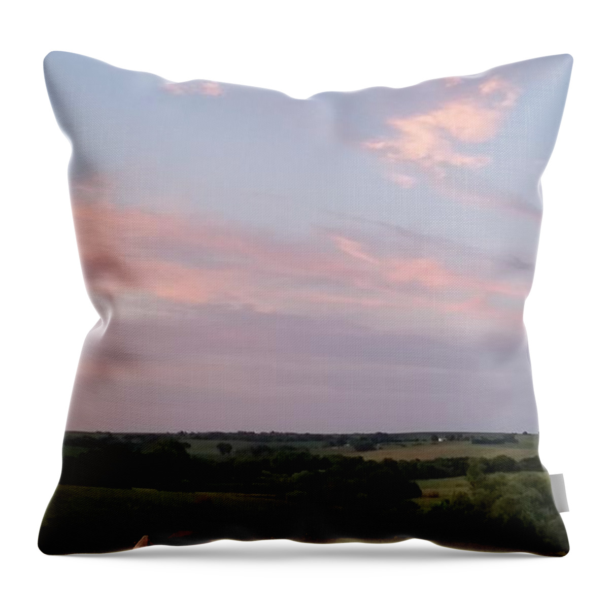 Cow Throw Pillow featuring the photograph Milk Before Bed by Caryl J Bohn
