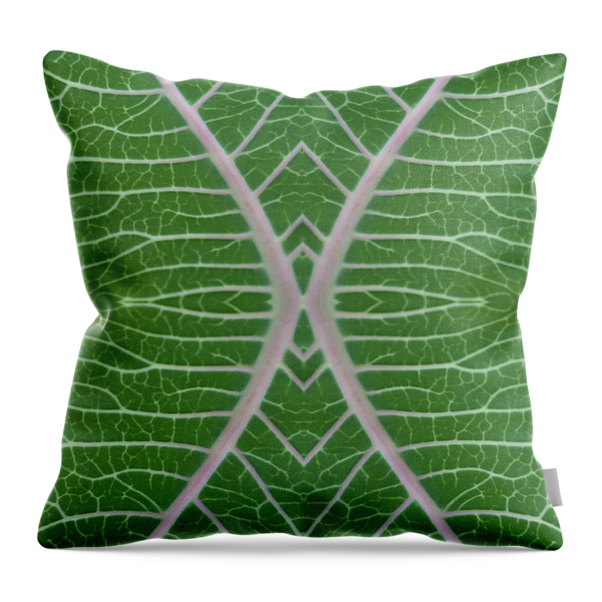 Photographic Art Throw Pillow featuring the photograph Milkweed Veins Quad by Paul Rebmann