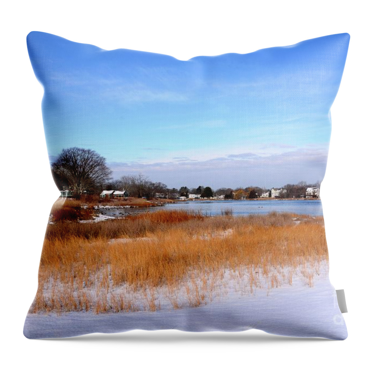 Beach Throw Pillow featuring the photograph Mill Cove in February by Lisa Kilby