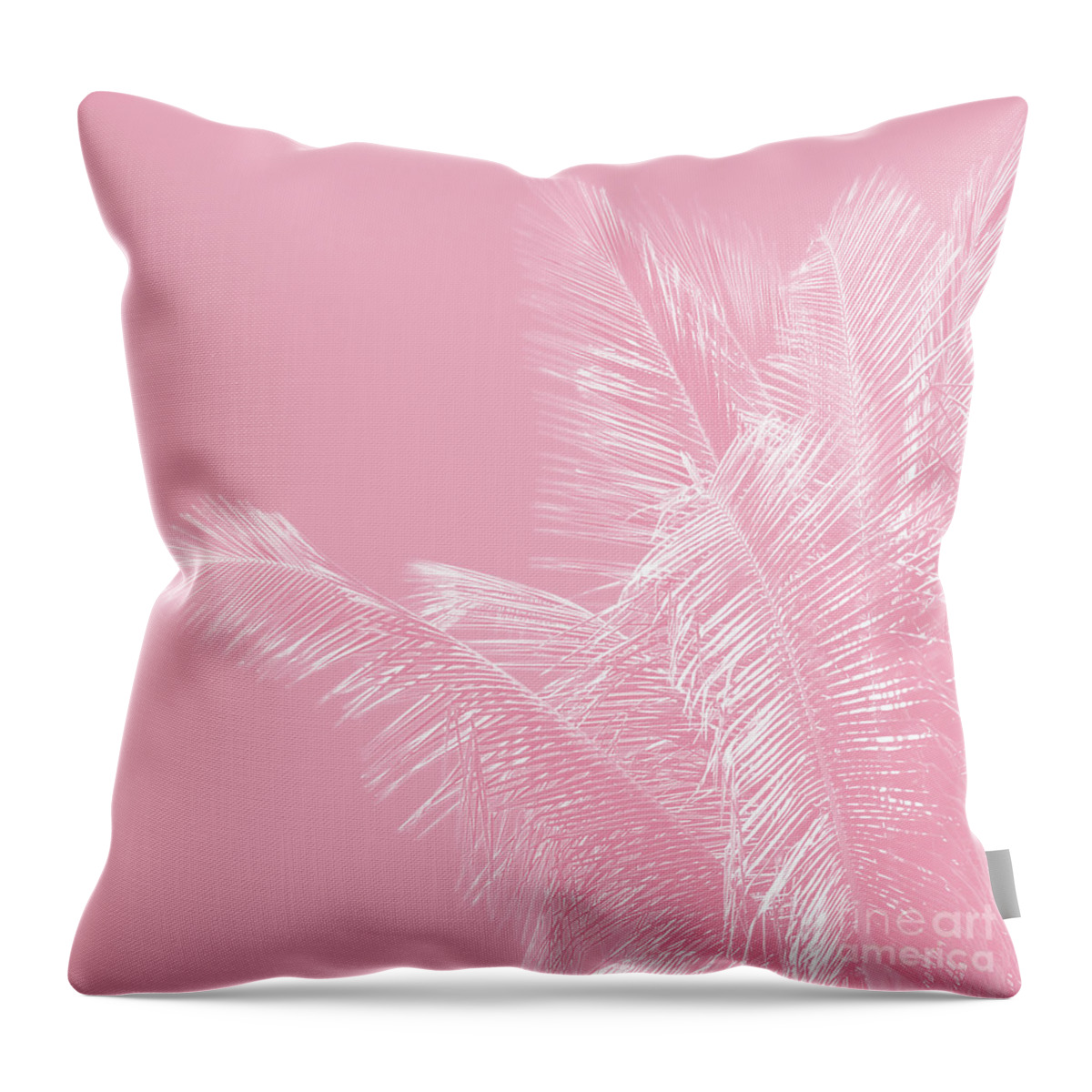 Millennial Pink Throw Pillow featuring the photograph Millennial Pink illumination of Heart White Tropical Palm Hawaii by Sharon Mau