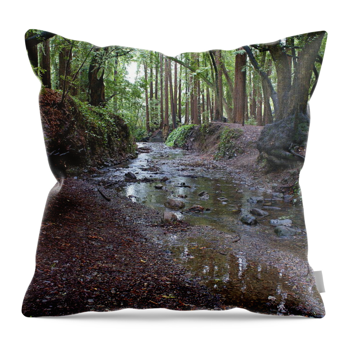 Mount Tamalpais Throw Pillow featuring the photograph Miller Grove by Ben Upham III