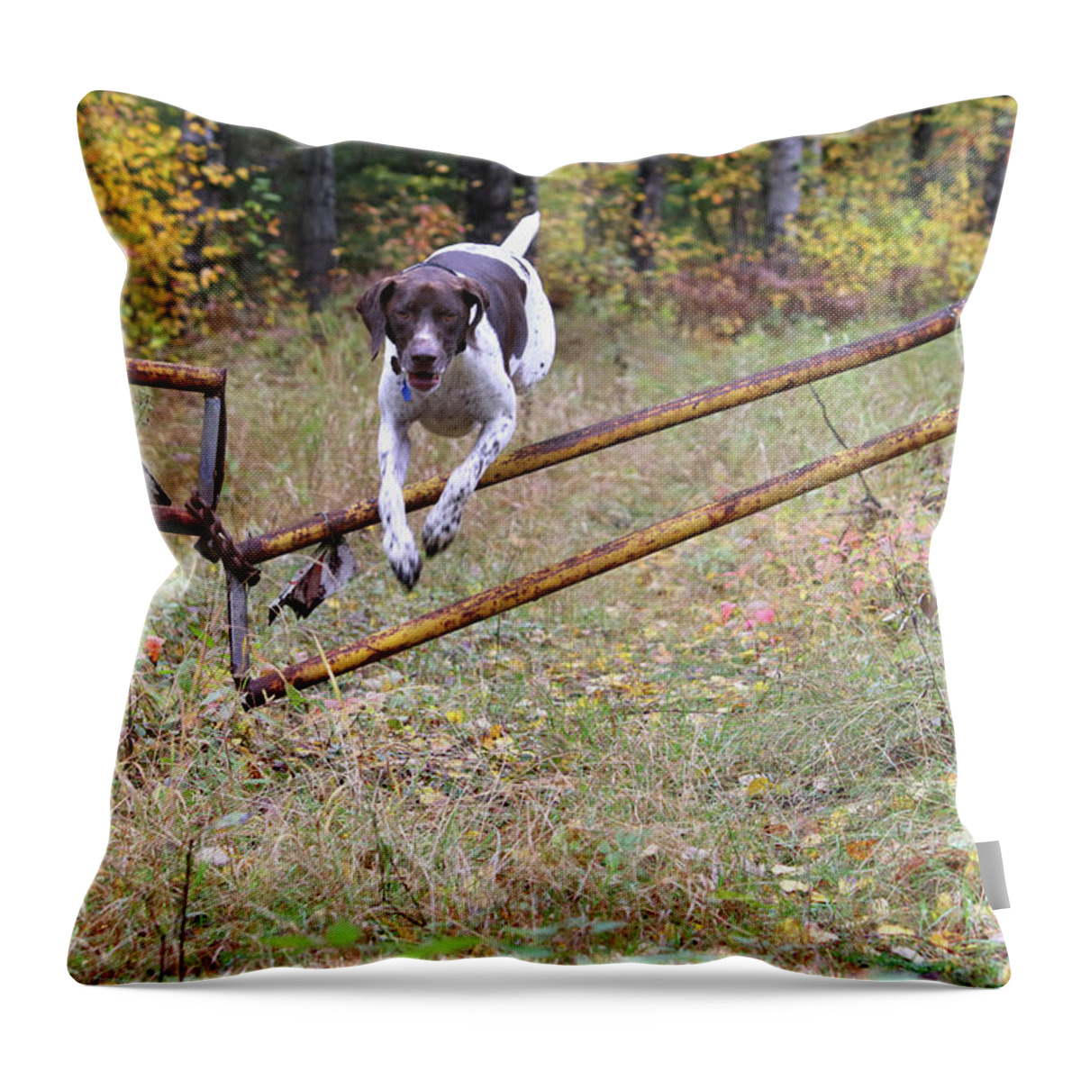 Dog Throw Pillow featuring the photograph Millie Jump by Brook Burling