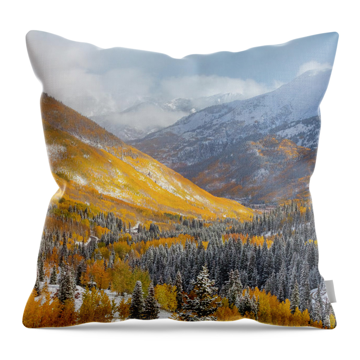 Aspen Trees Throw Pillow featuring the photograph Million Dollar Drive by Darren White