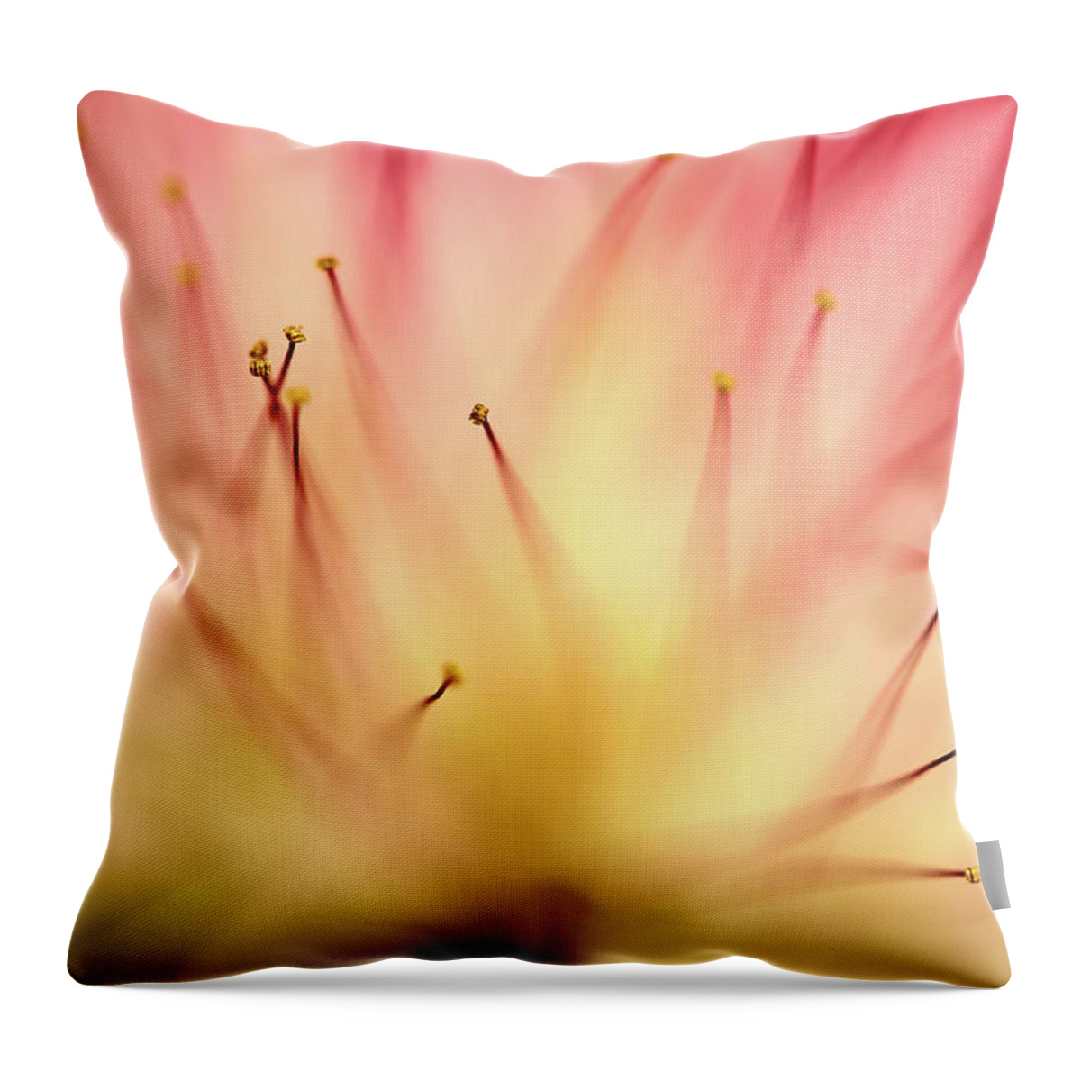 Mimosa Throw Pillow featuring the photograph Mimosa 4 by Mike Eingle