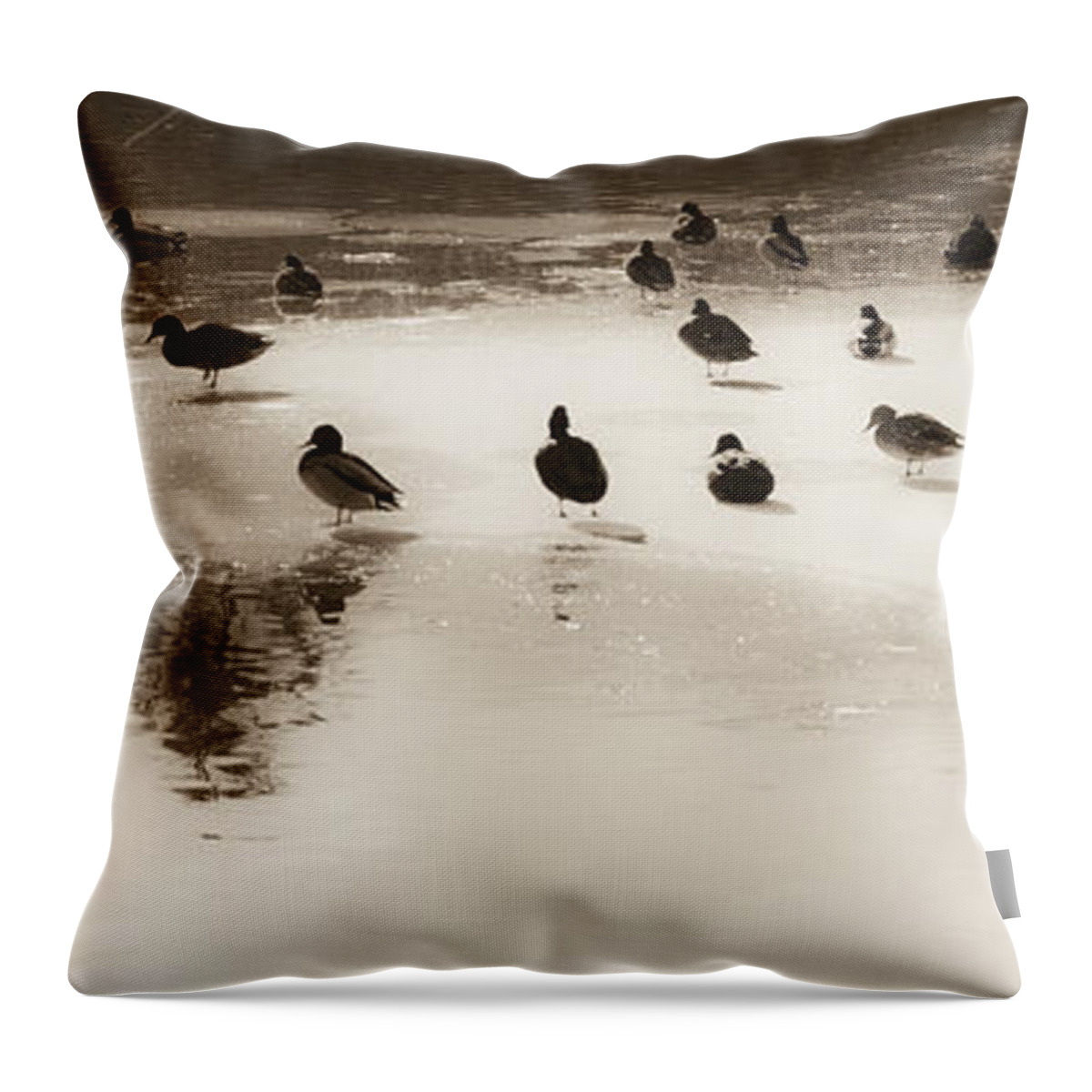 Water Throw Pillow featuring the photograph Minden 1 by Catherine Sobredo