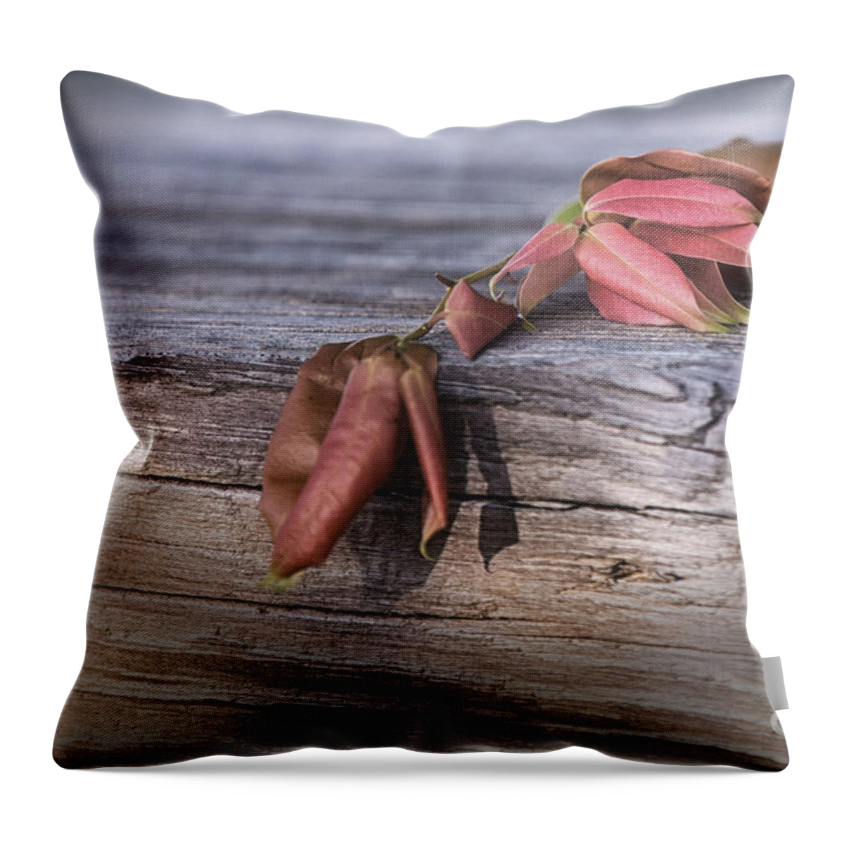 Colored Leaves And Wood Textrues Throw Pillow featuring the photograph Mindfulness In Nature by Mary Lou Chmura