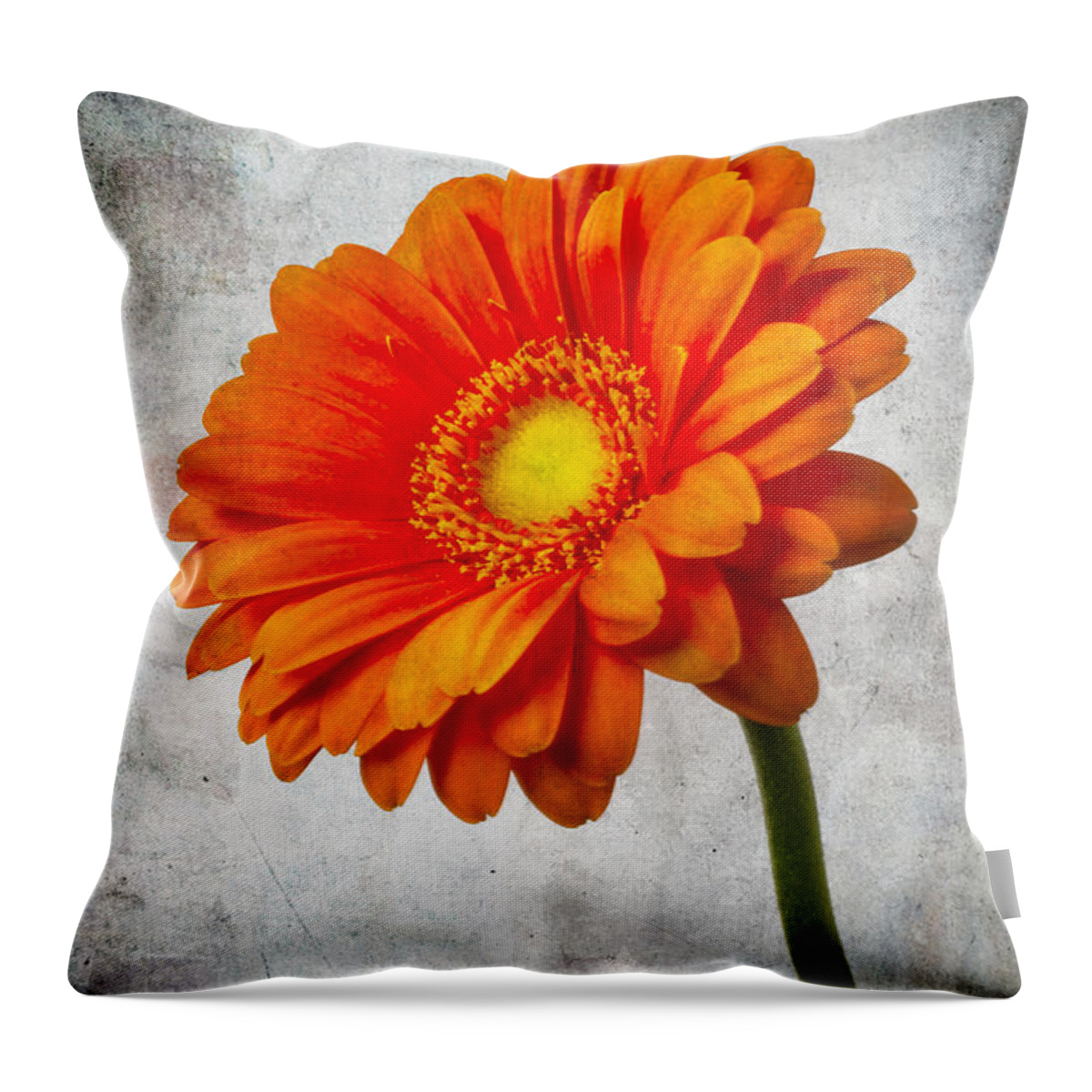 Gerbera Throw Pillow featuring the photograph Mini Gerbera Orange Daisy by Garry Gay