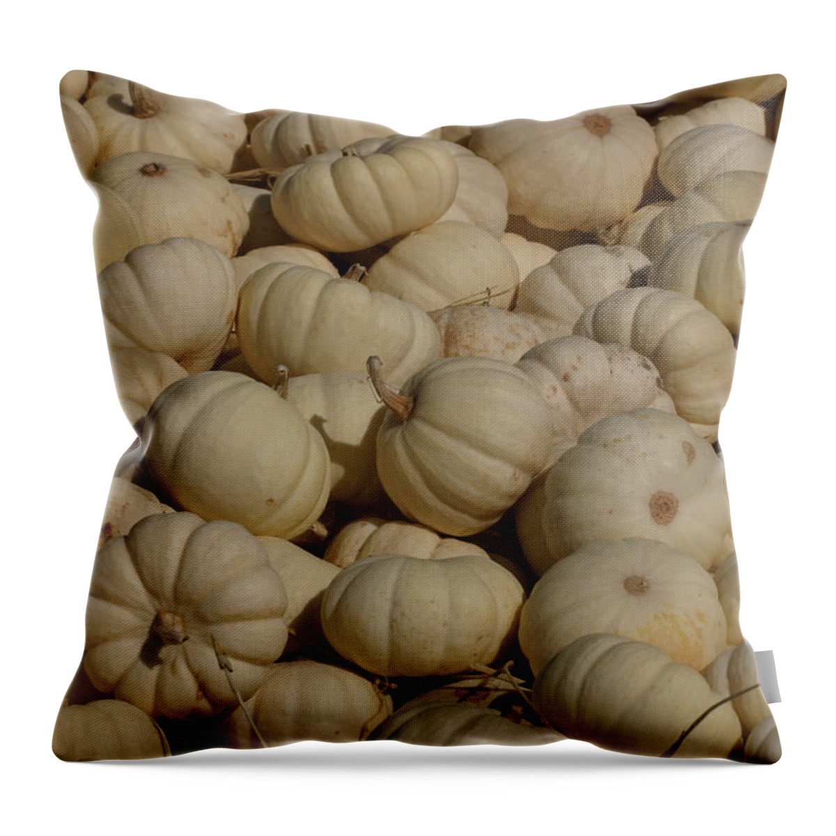 White Throw Pillow featuring the photograph Mini White Pumpkins by Jeff Floyd CA