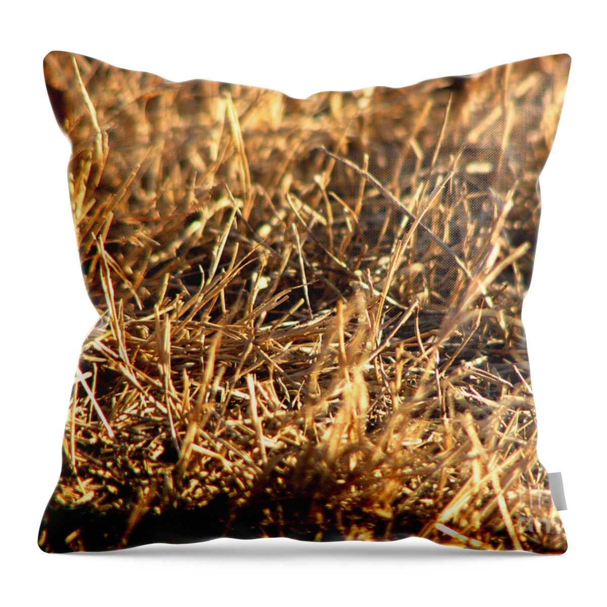 Grass Throw Pillow featuring the photograph Mirrors by Amanda Barcon