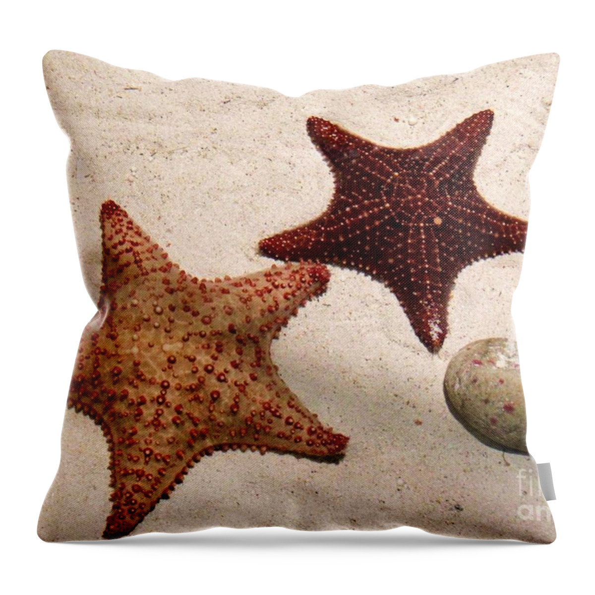 Message Throw Pillow featuring the photograph 2 Starfish by Robert Wilder Jr