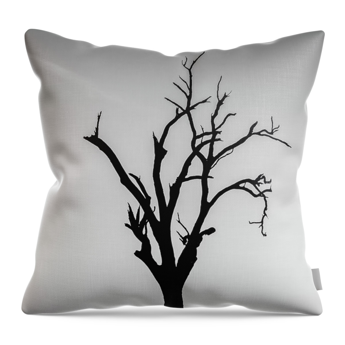 Matong State Forest Throw Pillow featuring the photograph Missing by Az Jackson