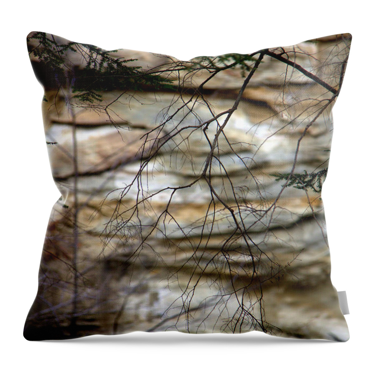 Missing You Again Throw Pillow featuring the photograph Missing You Again by Edward Smith