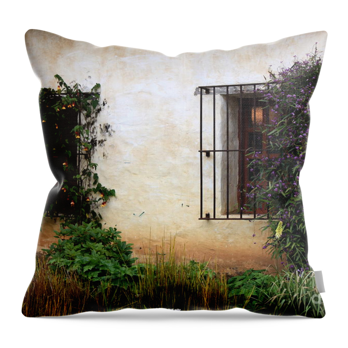 Vines Throw Pillow featuring the photograph Mission Windows by Carol Groenen