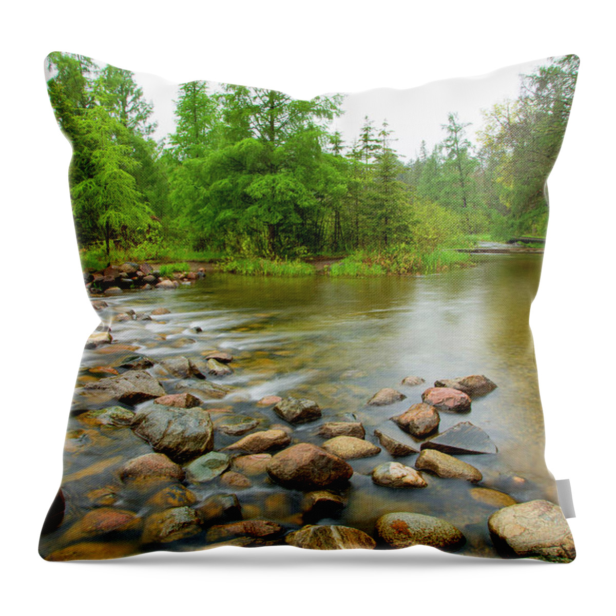 Mississippi Headwaters Throw Pillow featuring the photograph Mississippi Begins by Nancy Dunivin