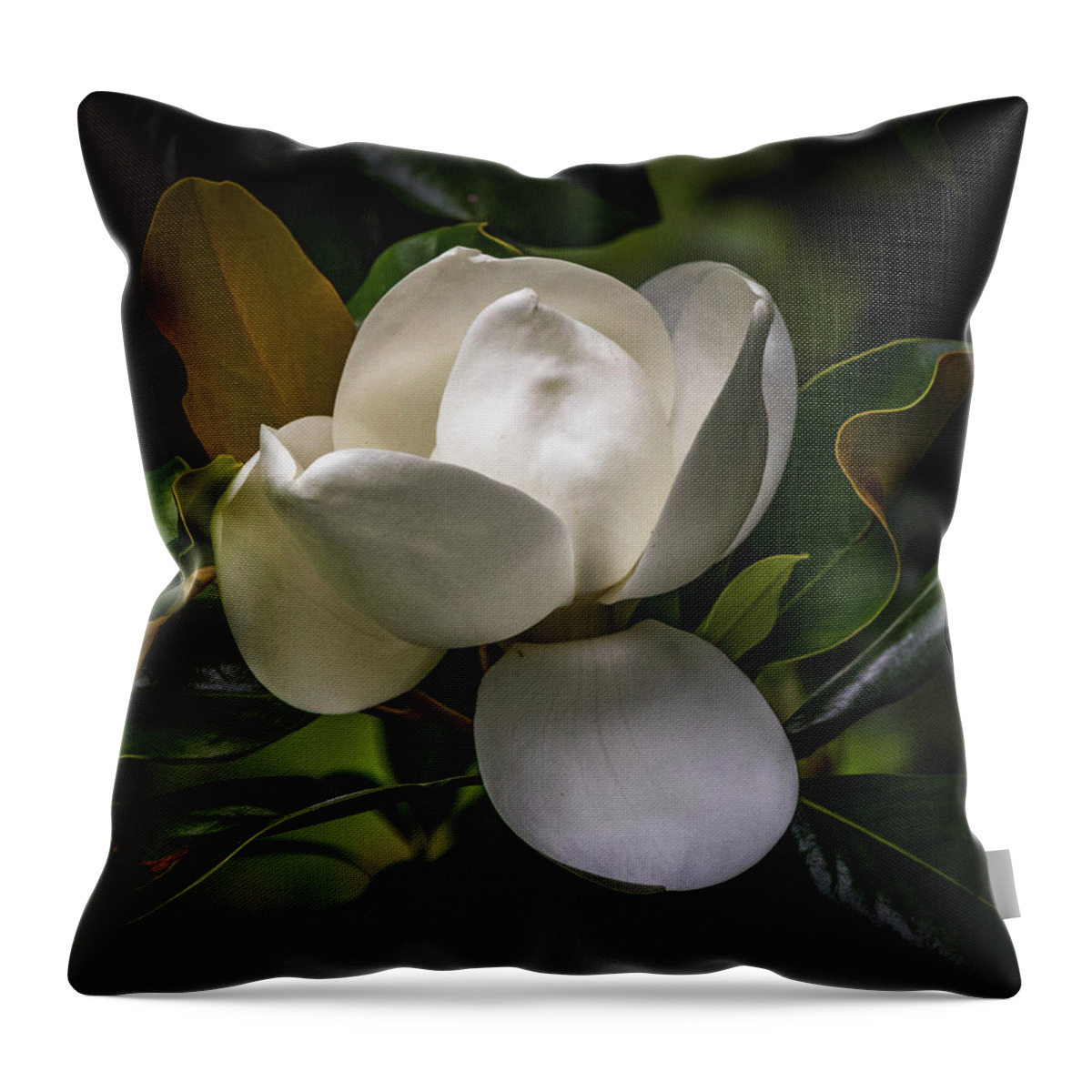 Magnolia Throw Pillow featuring the photograph Mississippi In Bloom by JASawyer Imaging
