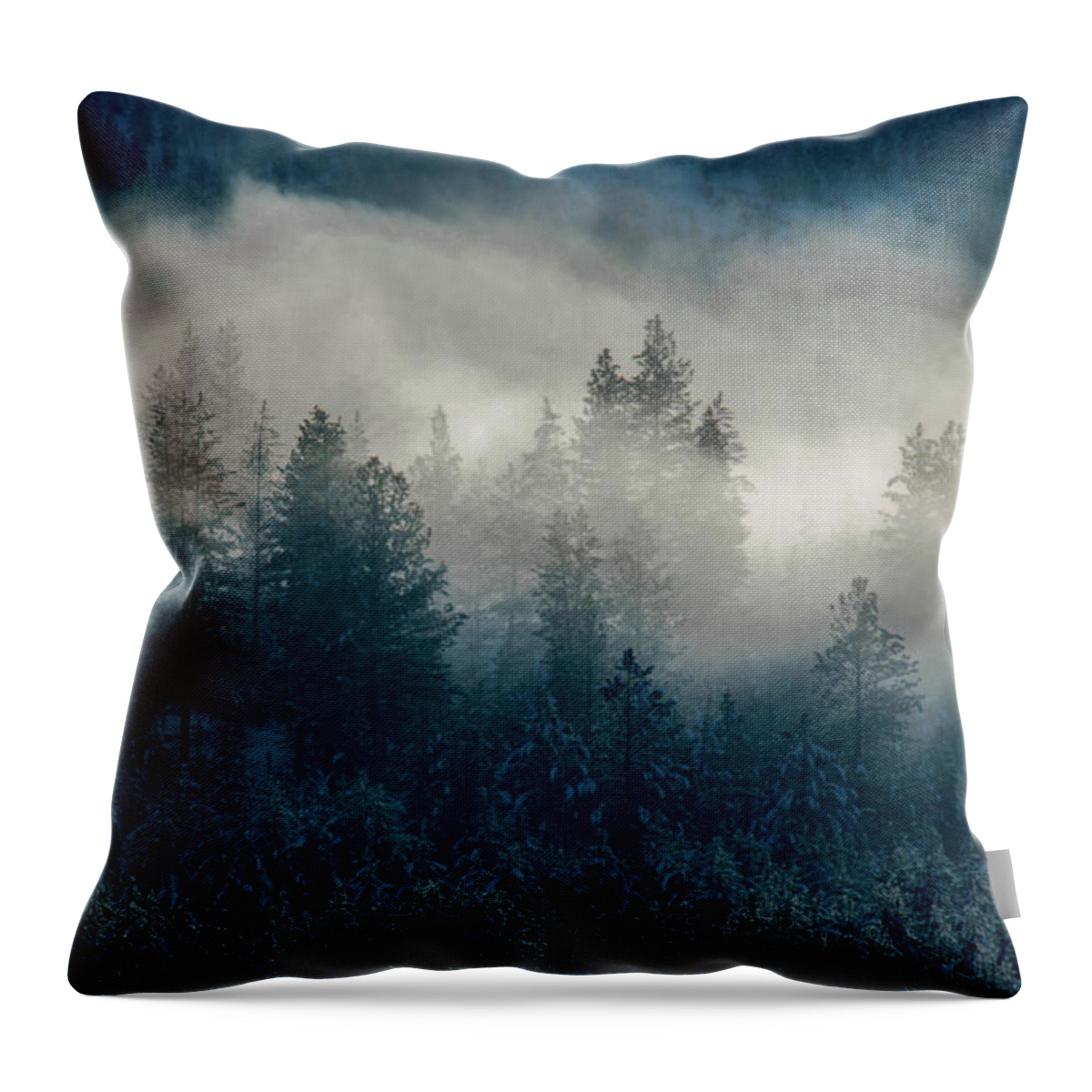 Mist Throw Pillow featuring the photograph Mist on Warm Lake Road by Link Jackson