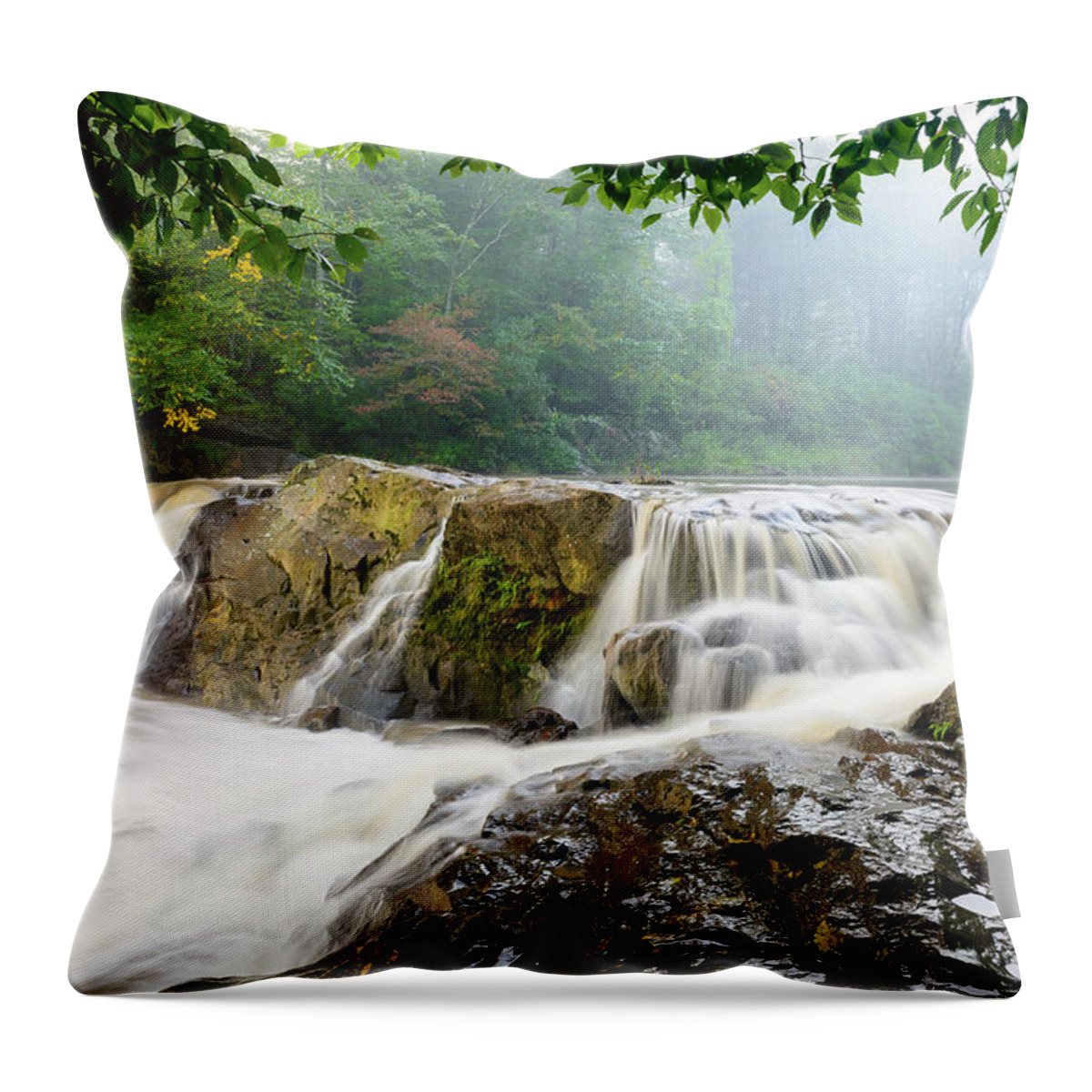 Chestnut Throw Pillow featuring the photograph Misty Creek by Michael Scott