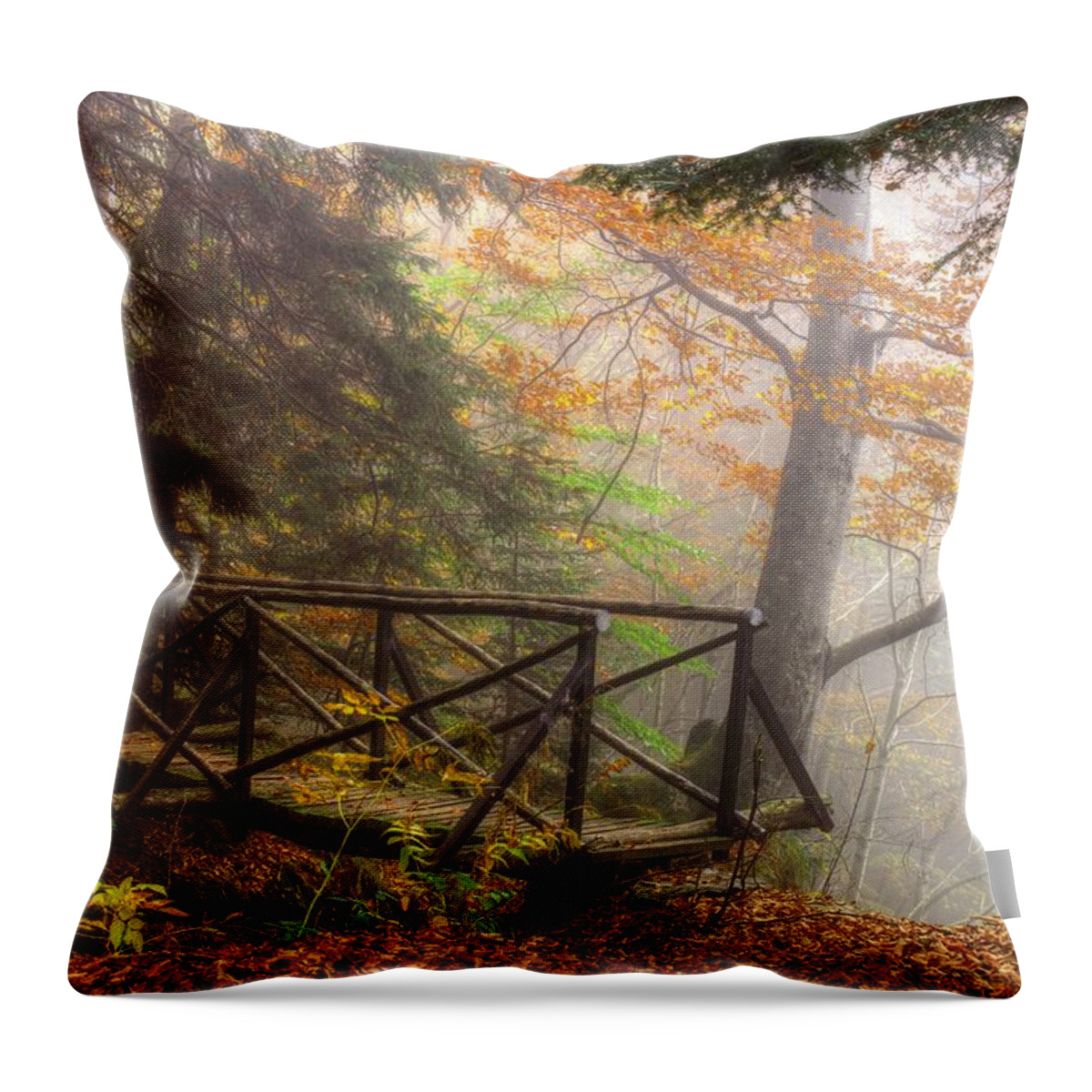Autumn Throw Pillow featuring the photograph Misty forest by Ivan Slosar