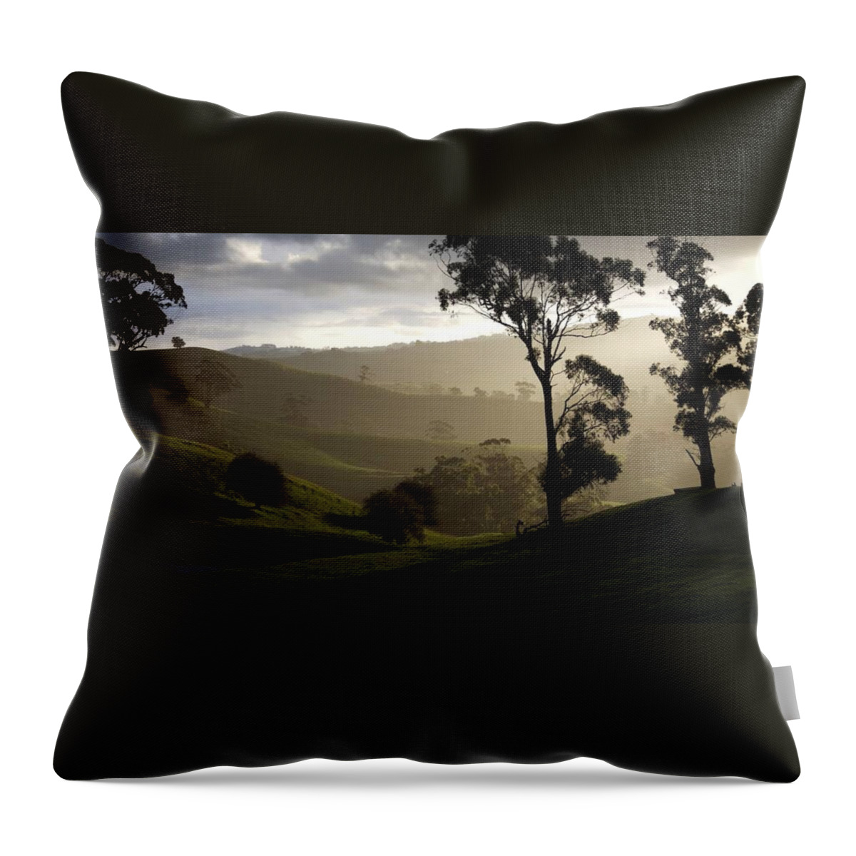 Landscapes Throw Pillow featuring the photograph Misty by Lee Stickels