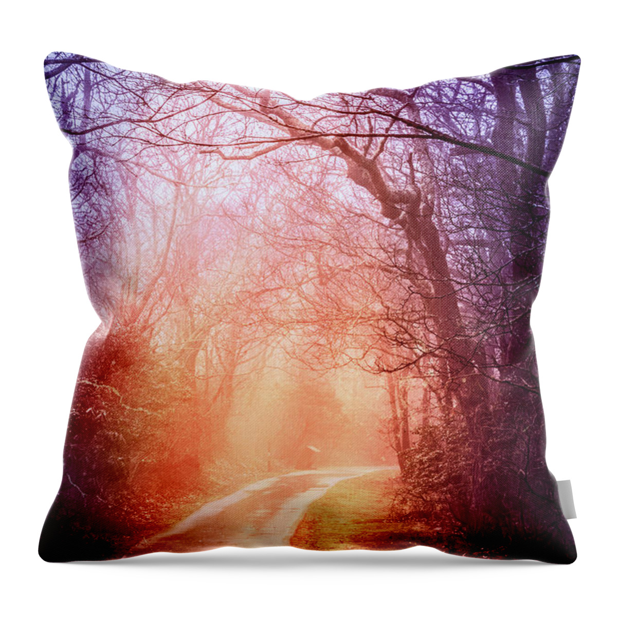 Carolina Throw Pillow featuring the photograph Misty Light of Dawn by Debra and Dave Vanderlaan