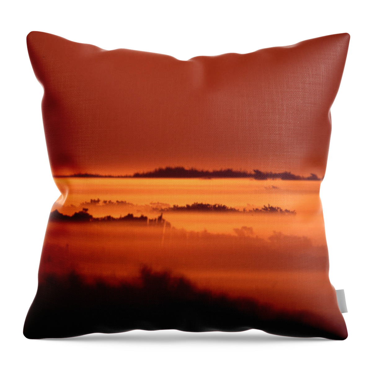Photo Decor Throw Pillow featuring the photograph Misty Meadow at Sunrise by Steven Huszar