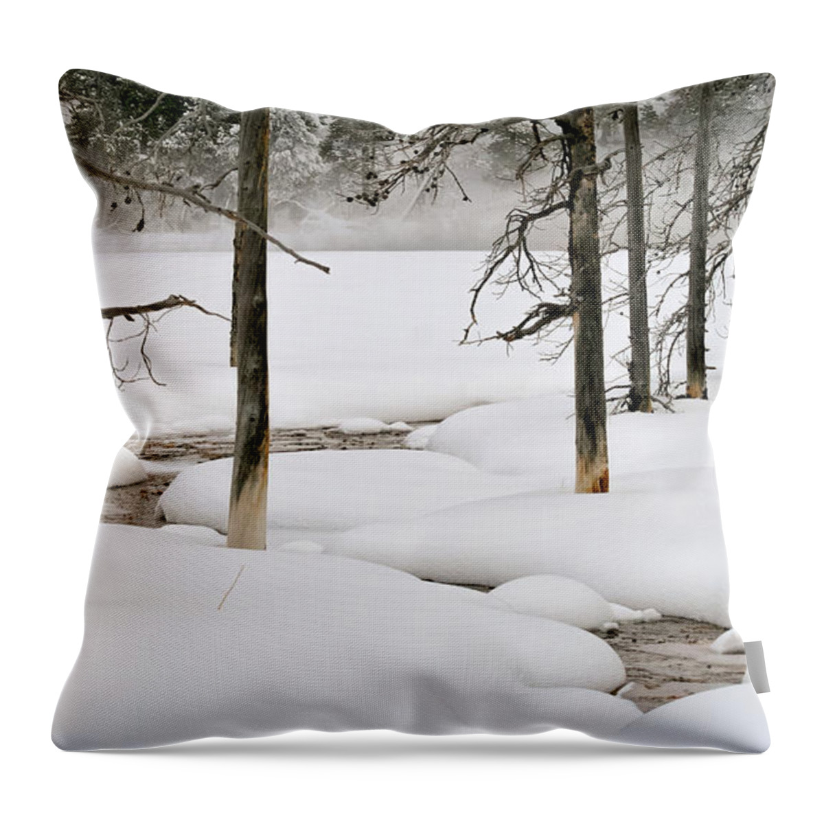 Yellowstone Throw Pillow featuring the photograph Misty Morn by Susan Rissi Tregoning