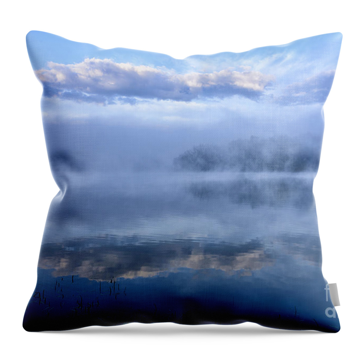 Big Ditch Lake Throw Pillow featuring the photograph Misty Morning at the Lake by Thomas R Fletcher