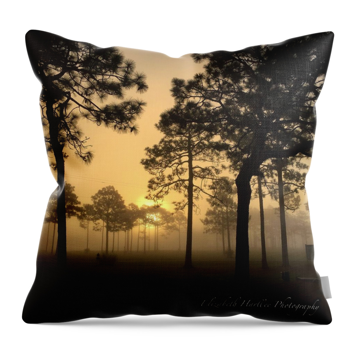  Throw Pillow featuring the photograph Misty Morning by Elizabeth Harllee