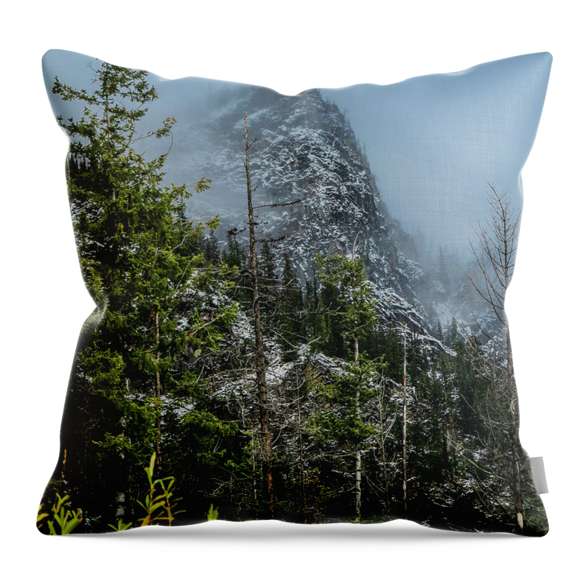 Landscape Throw Pillow featuring the photograph Misty Pinnacle by Jason Brooks