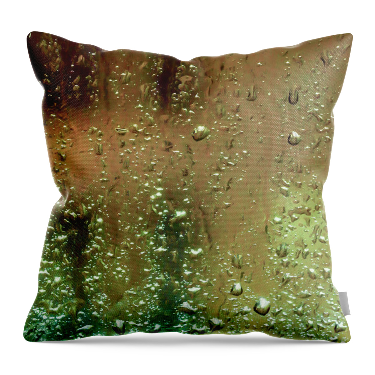 Misty Rain Throw Pillow featuring the photograph Misty Rain by Bonnie Follett