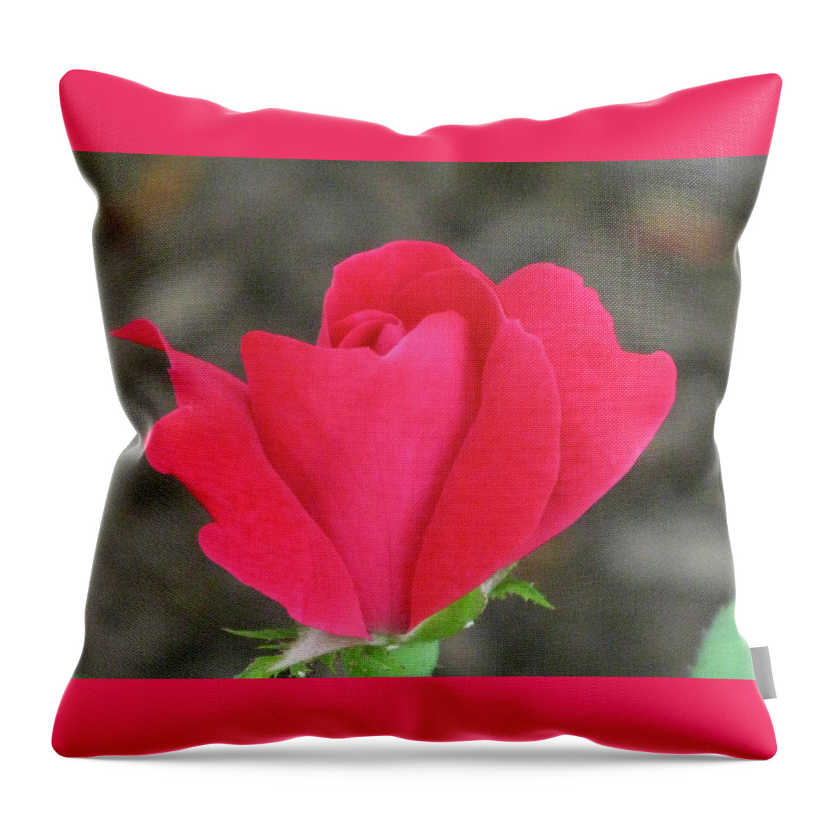 Red Rose Throw Pillow featuring the photograph Misty Red Rose by Michele Wilson