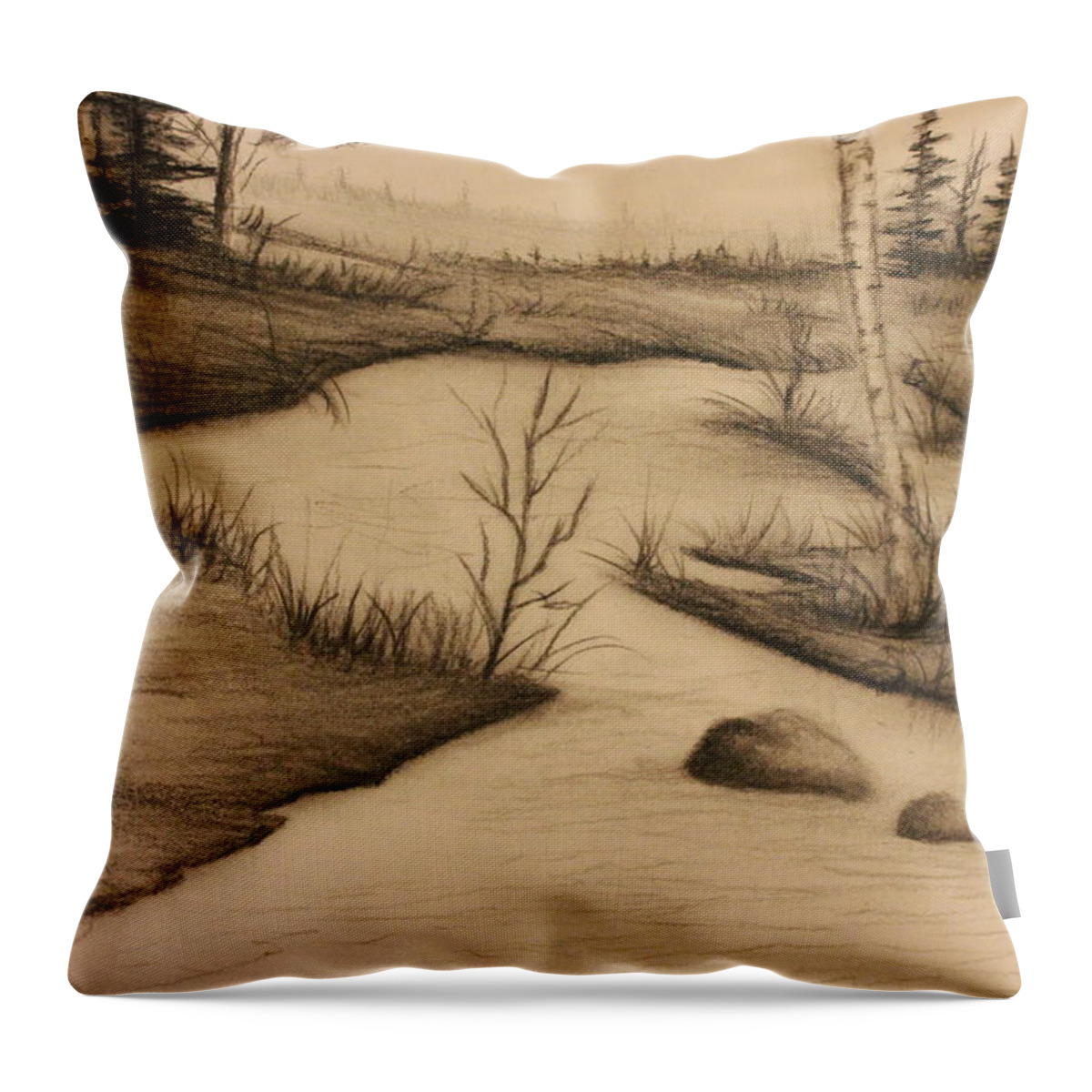 Drawings Throw Pillow featuring the drawing Misty River by Ricky Haug