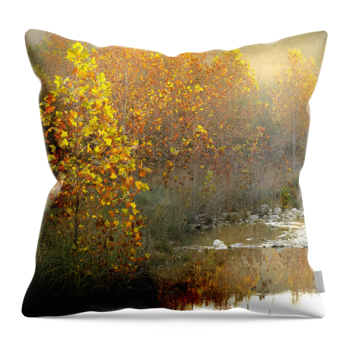Lost Maples Throw Pillow featuring the photograph Misty Sunrise at Lost Maples State Park by Debbie Karnes