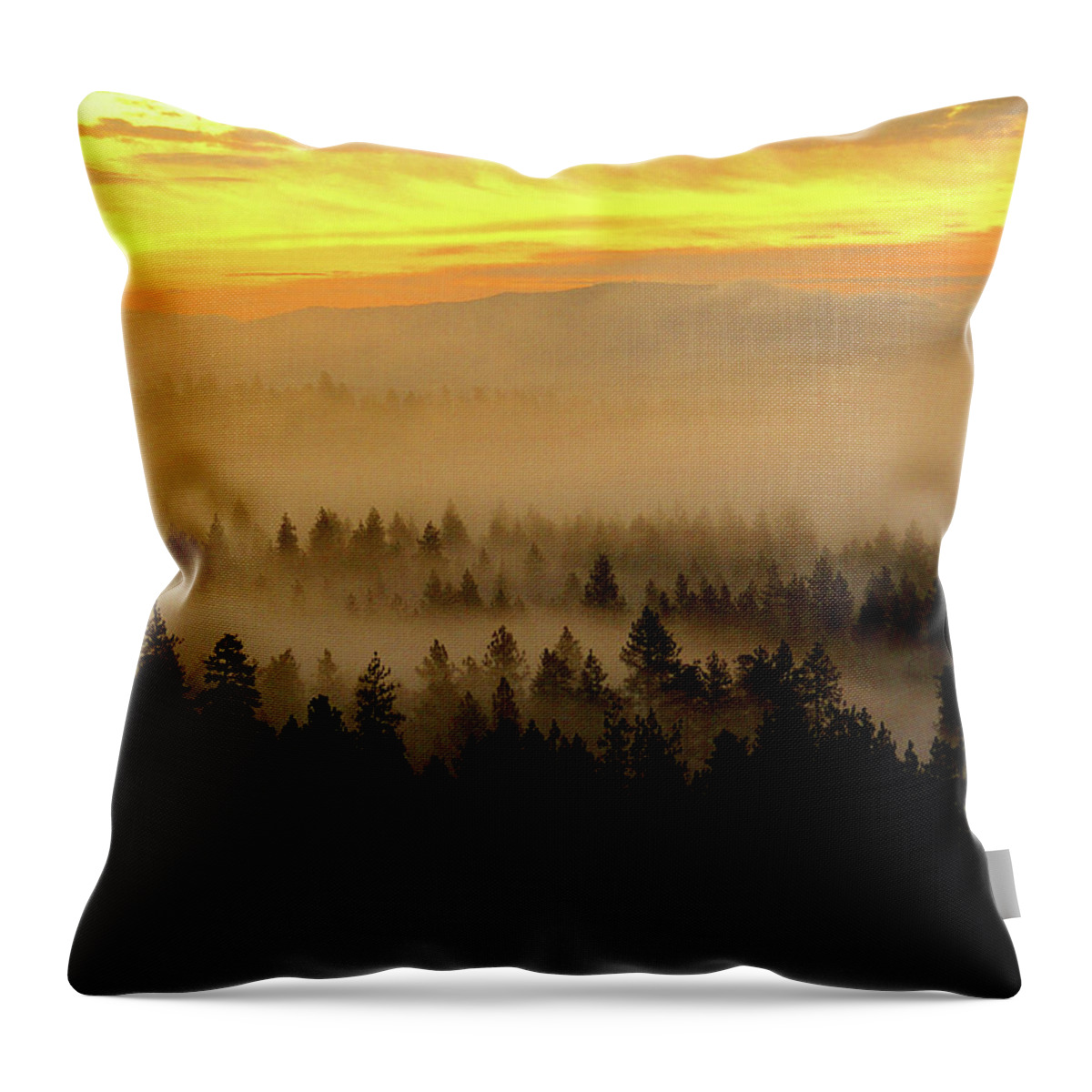 Nature Throw Pillow featuring the photograph Misty Sunrise by Ben Upham III