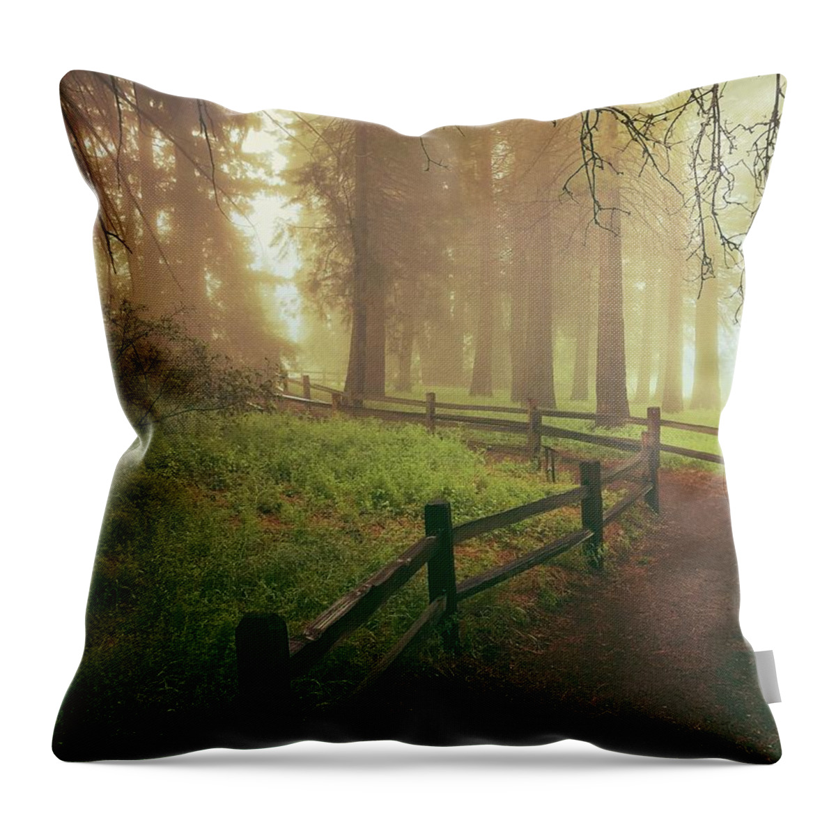 Poppy Throw Pillow featuring the digital art Misty Trail by Kevyn Bashore