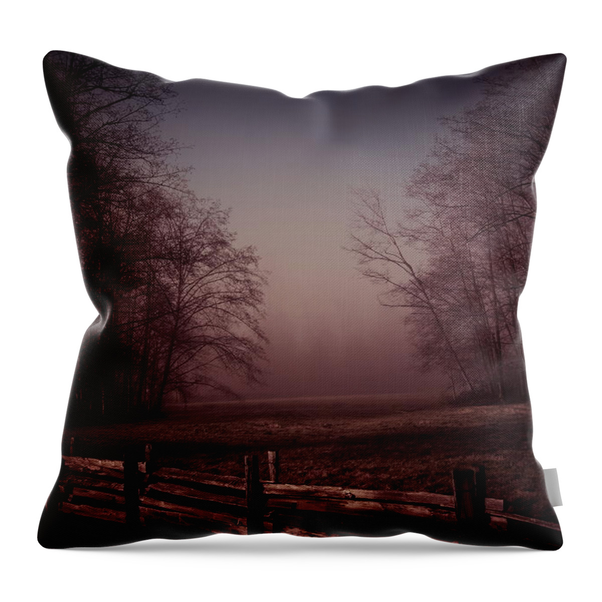 Fog Throw Pillow featuring the photograph Misty Walk by Monte Arnold