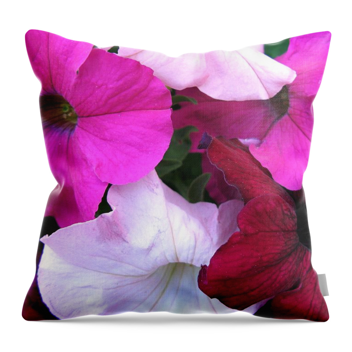 Petunias Throw Pillow featuring the photograph Mixed Petunias by Carol Sweetwood