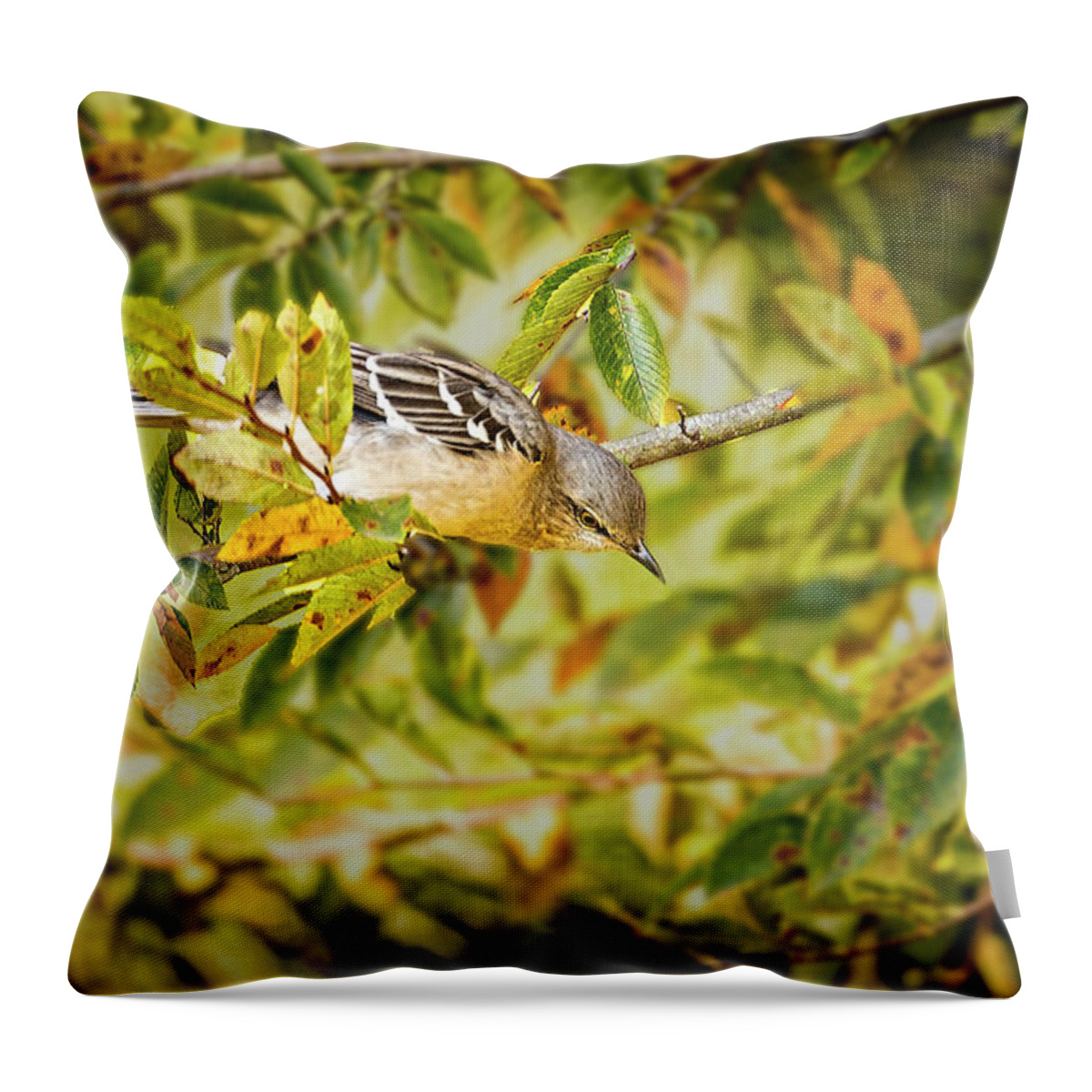 Bird Throw Pillow featuring the photograph Mockingbird by Phil And Karen Rispin