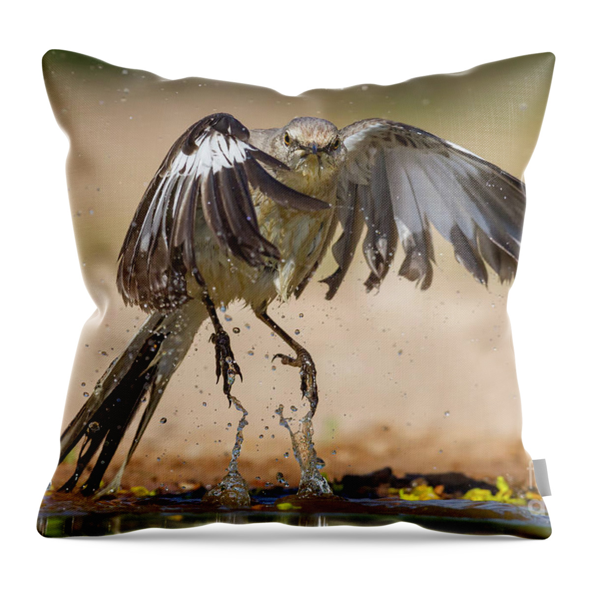 Bird Throw Pillow featuring the photograph Mockingbird Take Off by Jerry Fornarotto