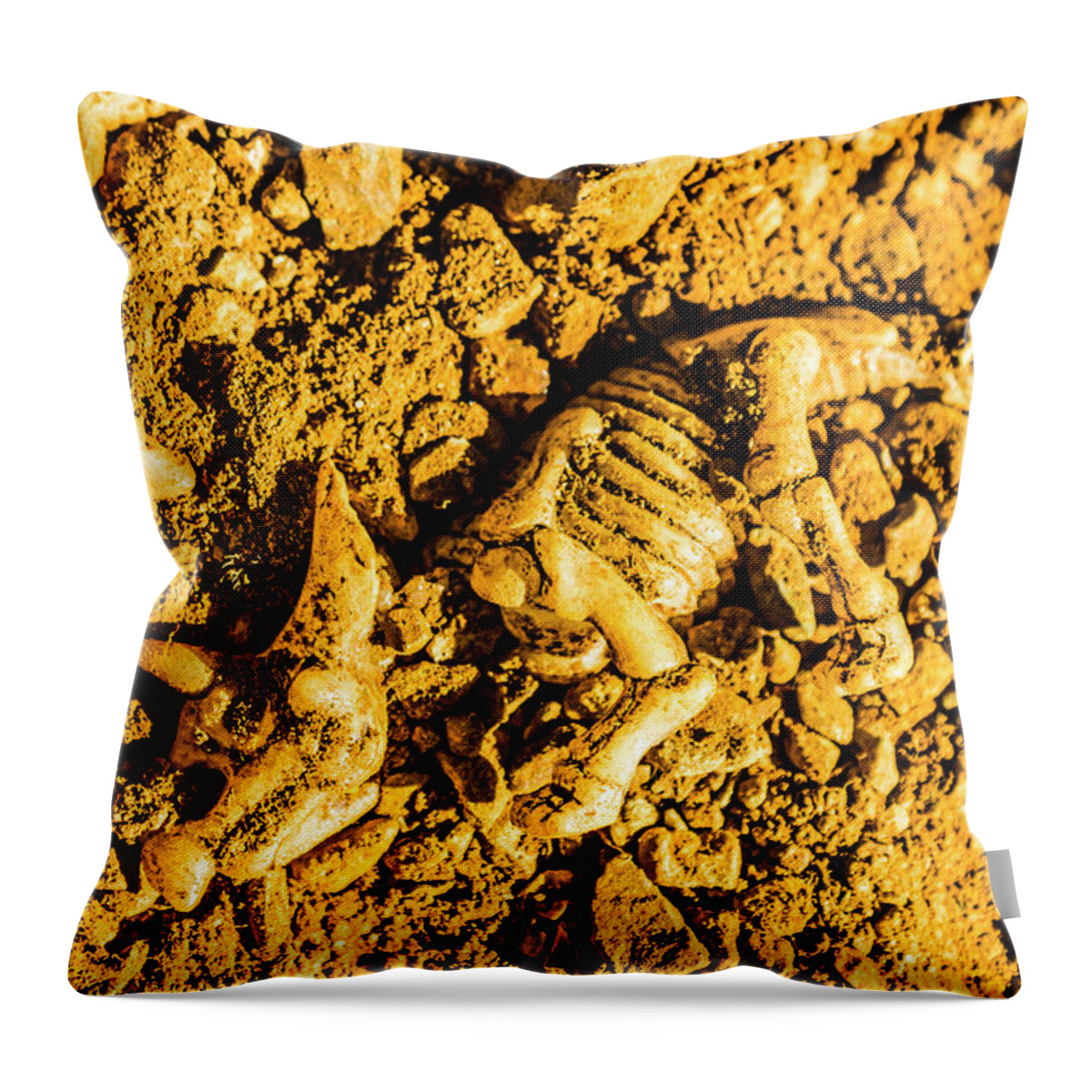 Triceratops Throw Pillow featuring the photograph Modelling a triceratops fossilised recovery by Jorgo Photography