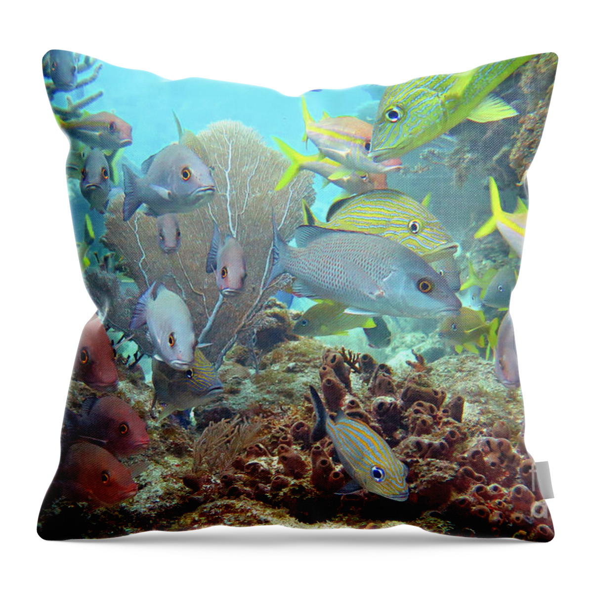 Underwater Throw Pillow featuring the photograph Molasses Reef by Daryl Duda