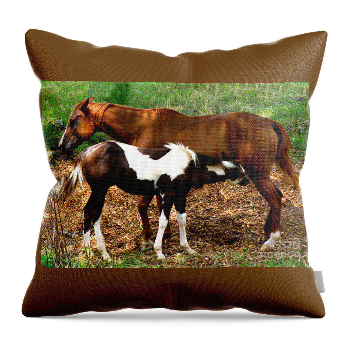 Horses Throw Pillow featuring the photograph Mom and Baby by Donna Brown