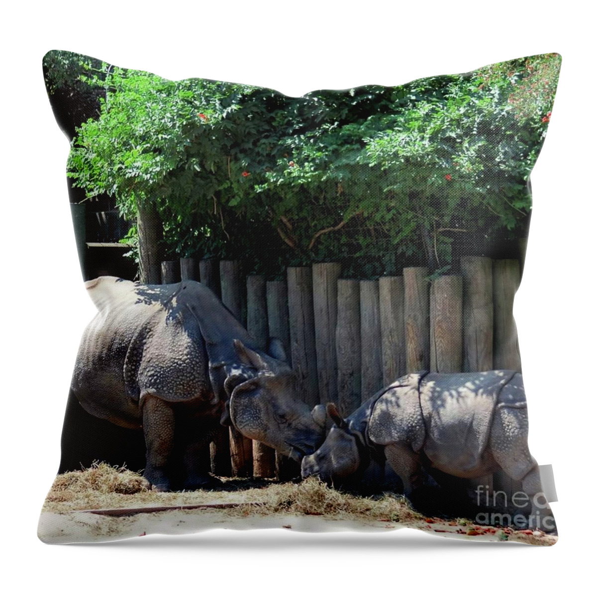 Rhinoceros Throw Pillow featuring the photograph Mom Kissing Baby by Kathleen Struckle