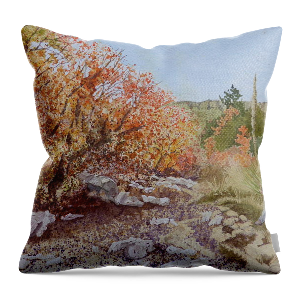 Tejas Trail Throw Pillow featuring the painting Moment in the Sun - Crossing Tejas Creek by Joel Deutsch