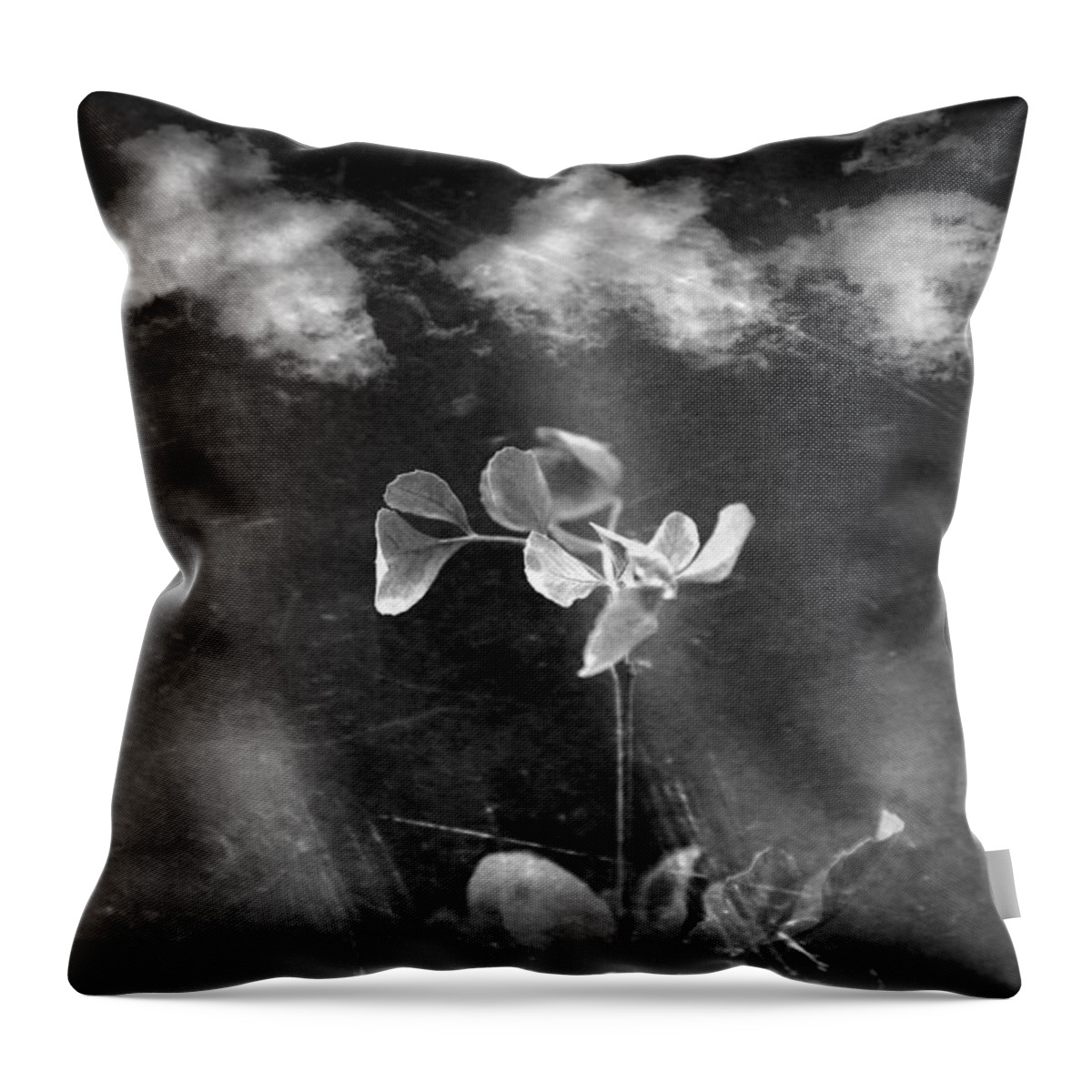 Leaves Throw Pillow featuring the photograph Momentum by Mark Ross