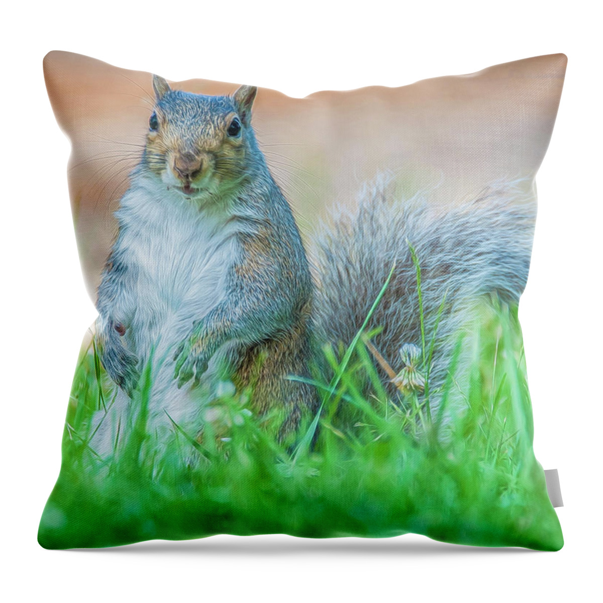 Mammal Throw Pillow featuring the photograph Momma Squirrel by Cathy Kovarik